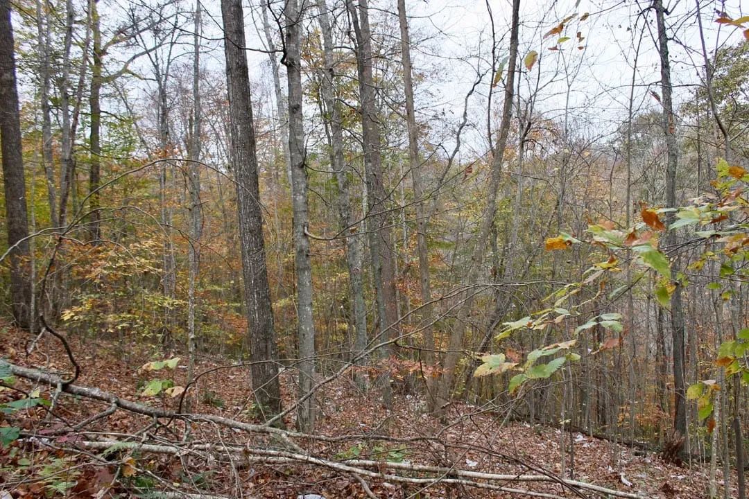 Autumn Ridge Tract 20 in Leslie County, KY