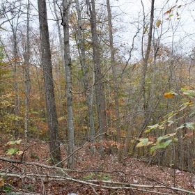 Autumn Ridge Tract 20 in Leslie County, KY