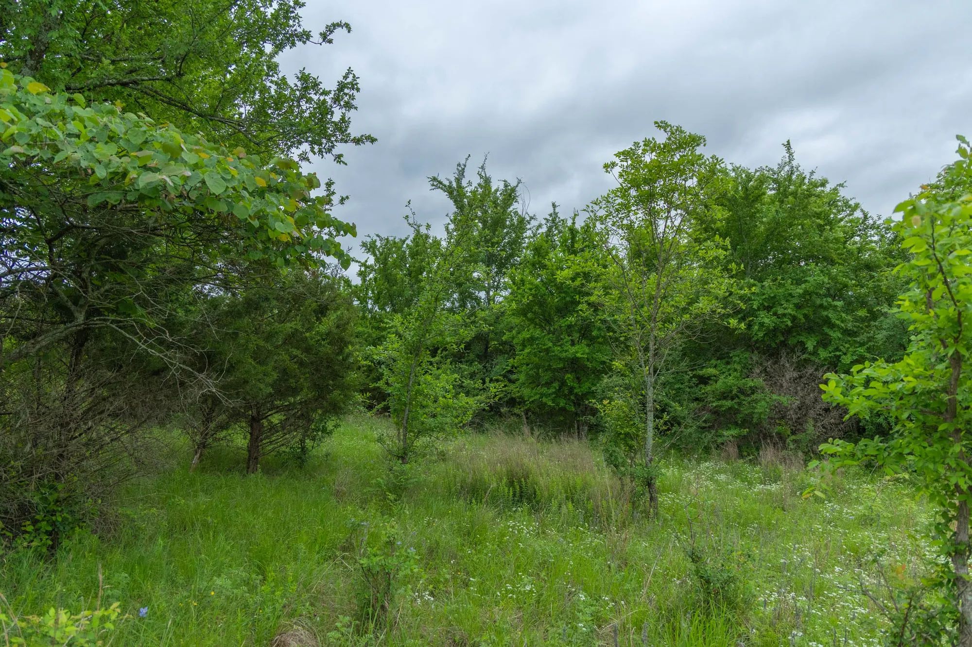 Harmony Hills Tract 2 in Pittsburg County, OK