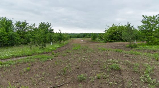 Harmony Hills Tract 2 in Pittsburg County, OK
