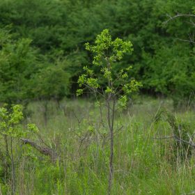 Harmony Hills Tract 2 in Pittsburg County, OK