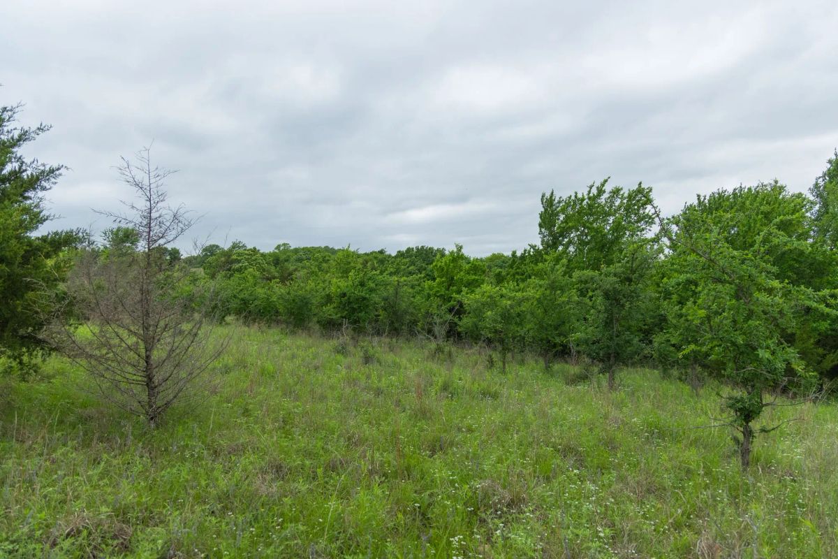 Harmony Hills Tract 2 - Image 4