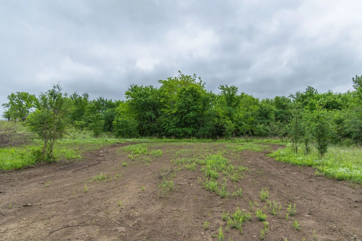 Decorative background for Harmony Hills Tract 2 image 6