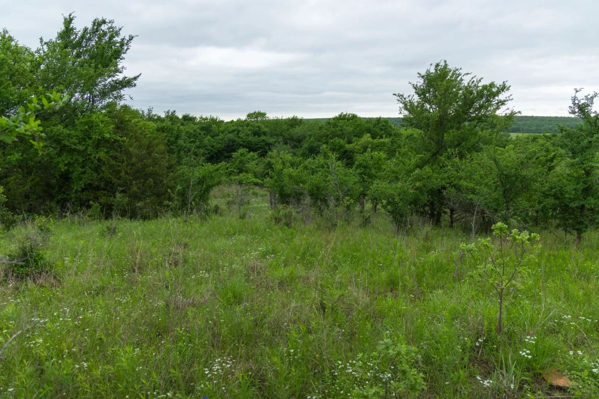 Decorative background for Harmony Hills Tract 2 image 7