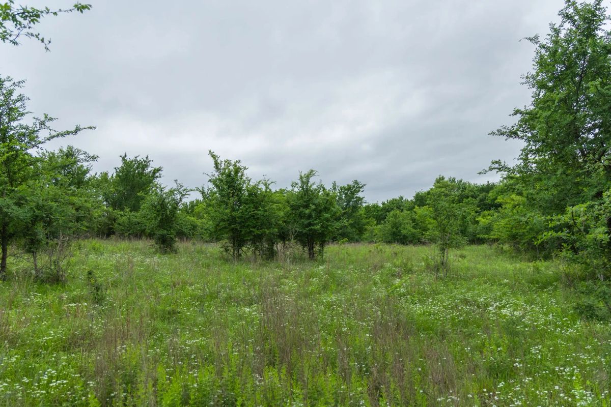 Decorative background for Harmony Hills Tract 2 image 8