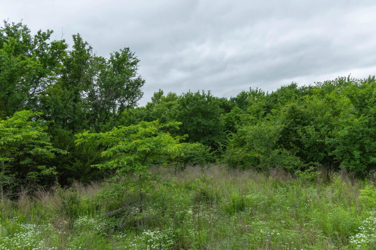 Decorative background for Harmony Hills Tract 2 image 11