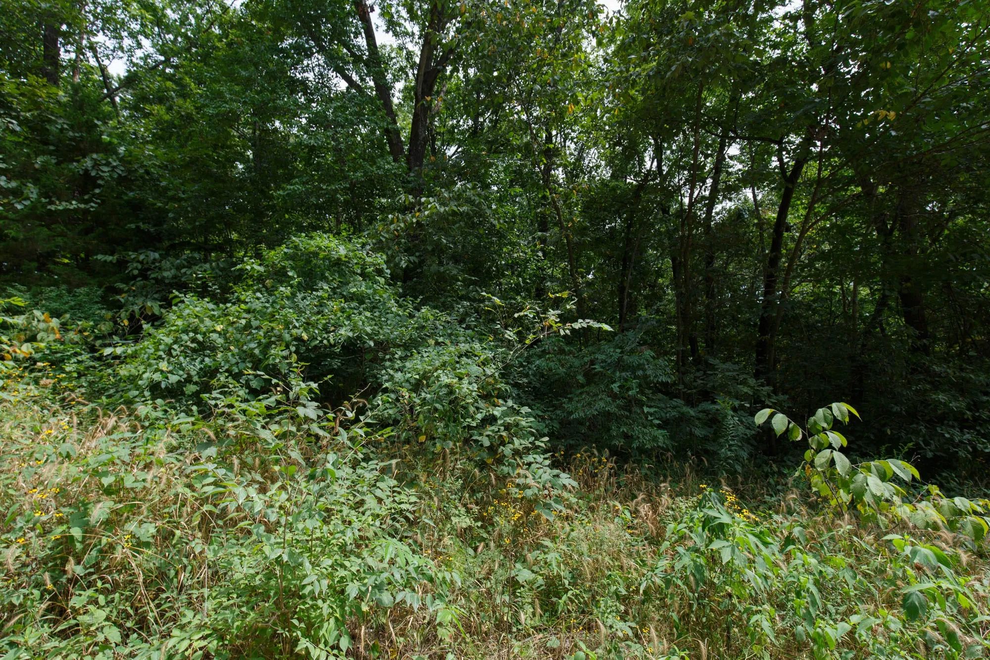 Spring Lake Plat 4 Tract 89 in Miller County, MO