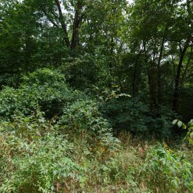 Spring Lake Plat 4 Tract 89 in Miller County, MO