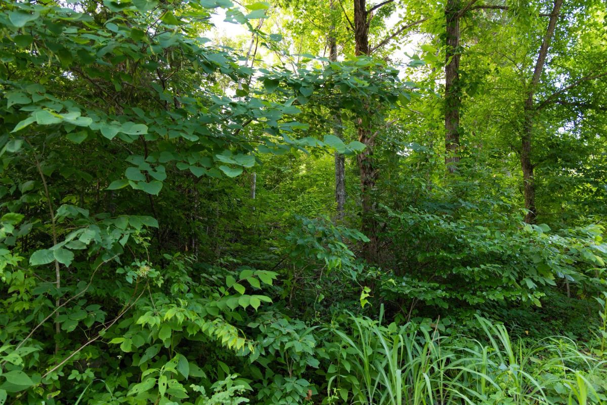 Poppy’s Point Tract 6 - Main image