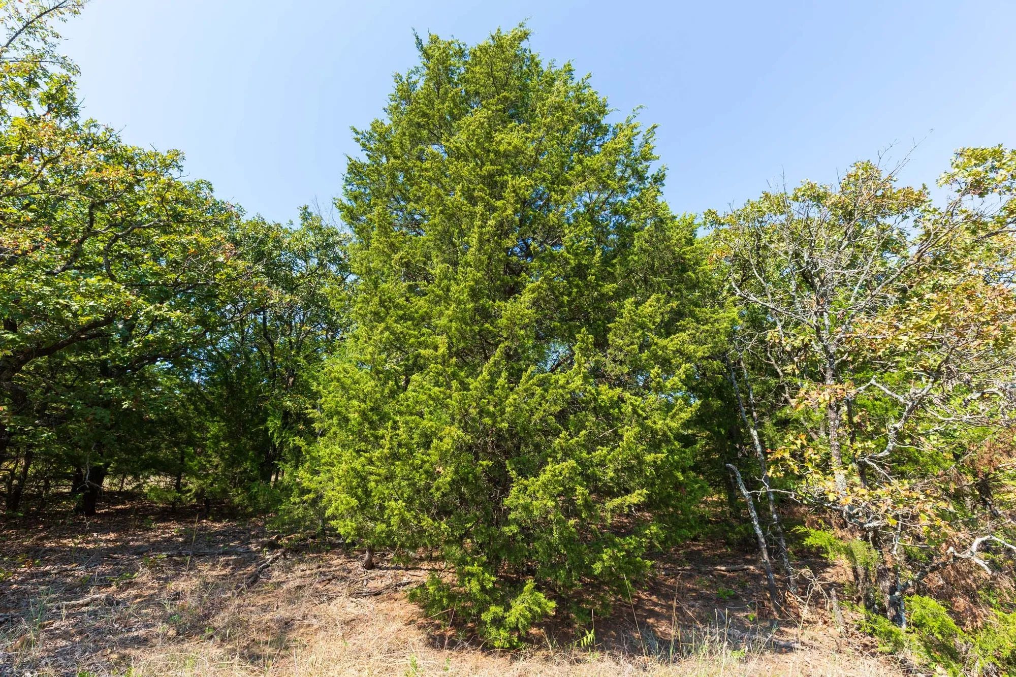 Canyon Creek Tract 17 in Lincoln County, OK