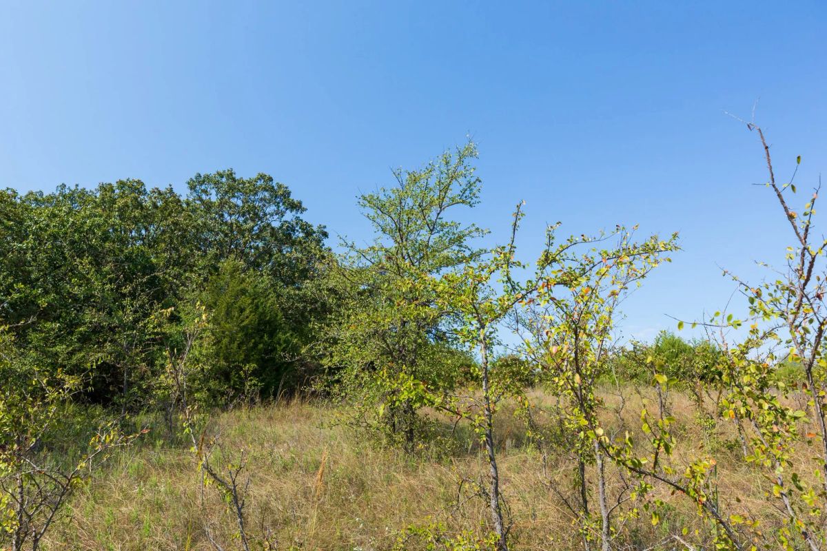 Decorative background for Canyon Creek Tract 17 image 5