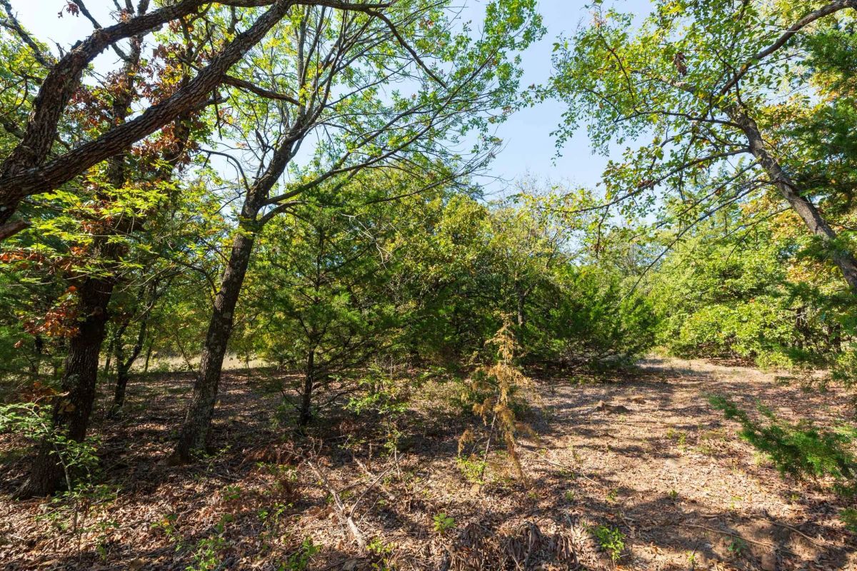 Decorative background for Canyon Creek Tract 17 image 6