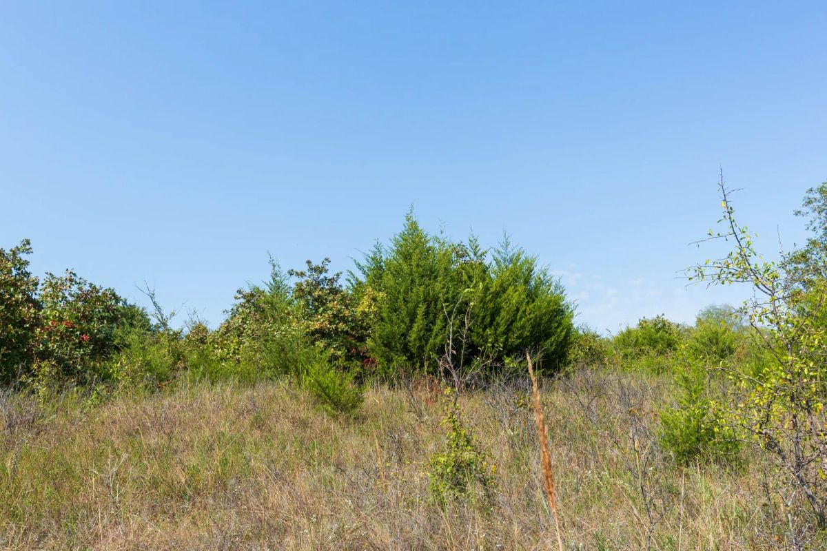 Decorative background for Canyon Creek Tract 17 image 7