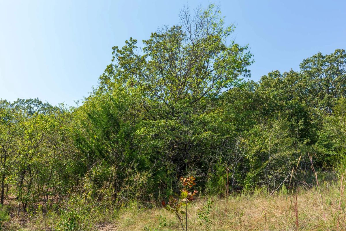Decorative background for Canyon Creek Tract 17 image 8