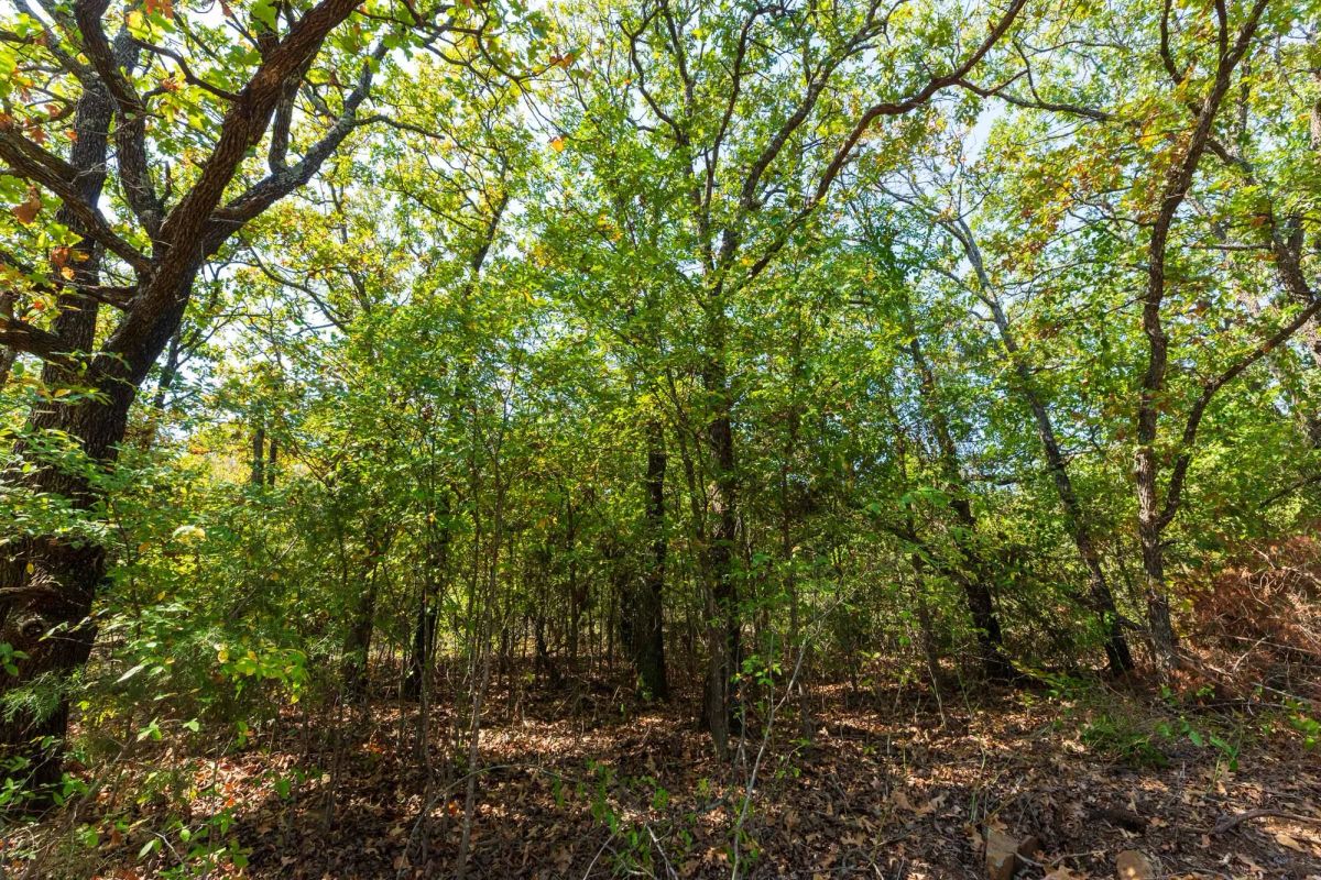 Decorative background for Canyon Creek Tract 17 image 9