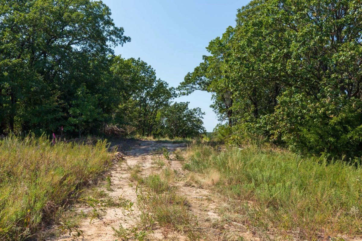 Decorative background for Canyon Creek Tract 17 image 11