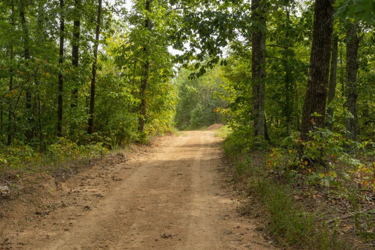 Big White Oak Tract 67 - Main image
