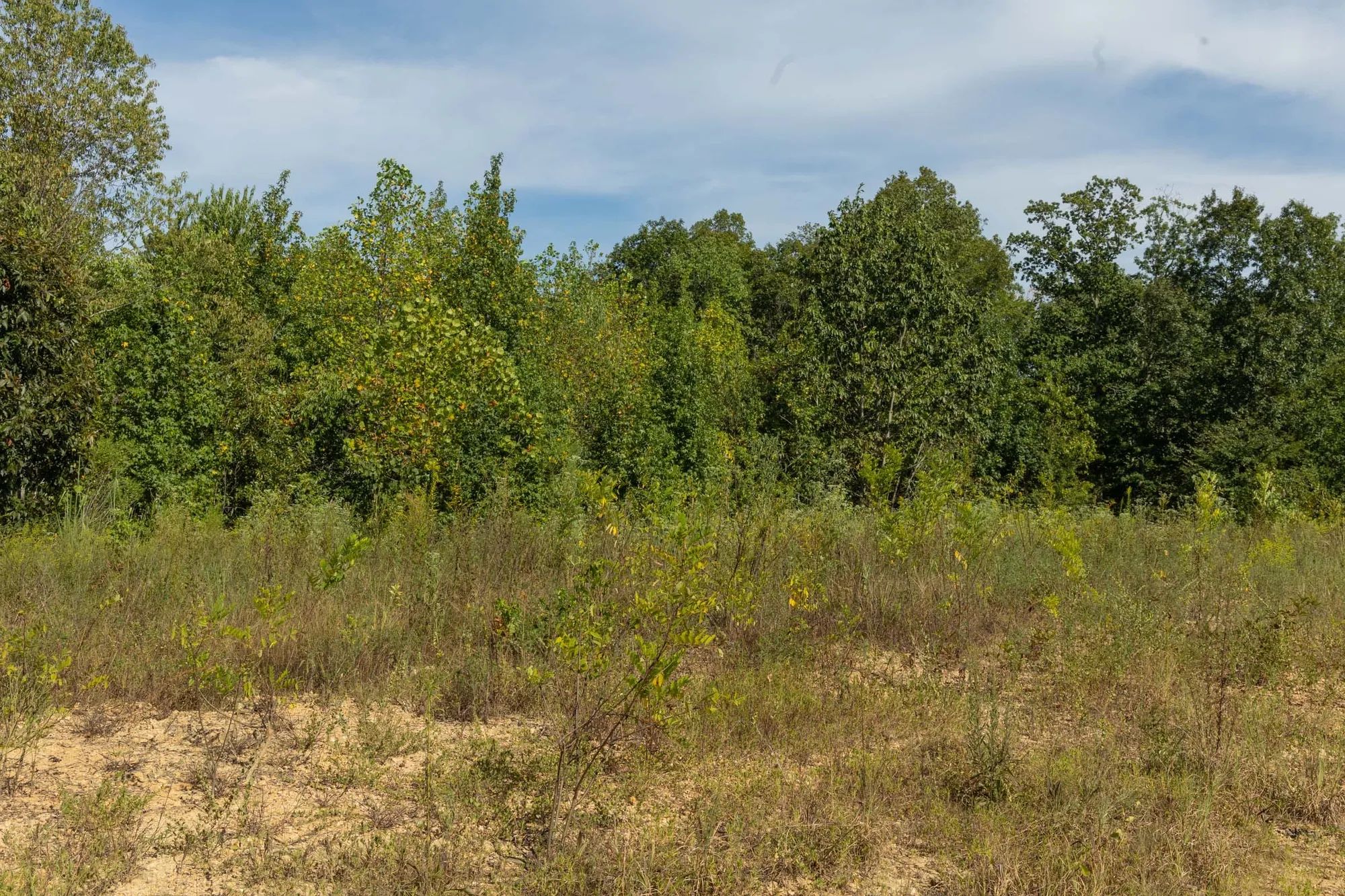 Big White Oak Tract 67 in Perry County, TN