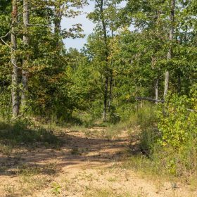 Big White Oak Tract 67 in Perry County, TN