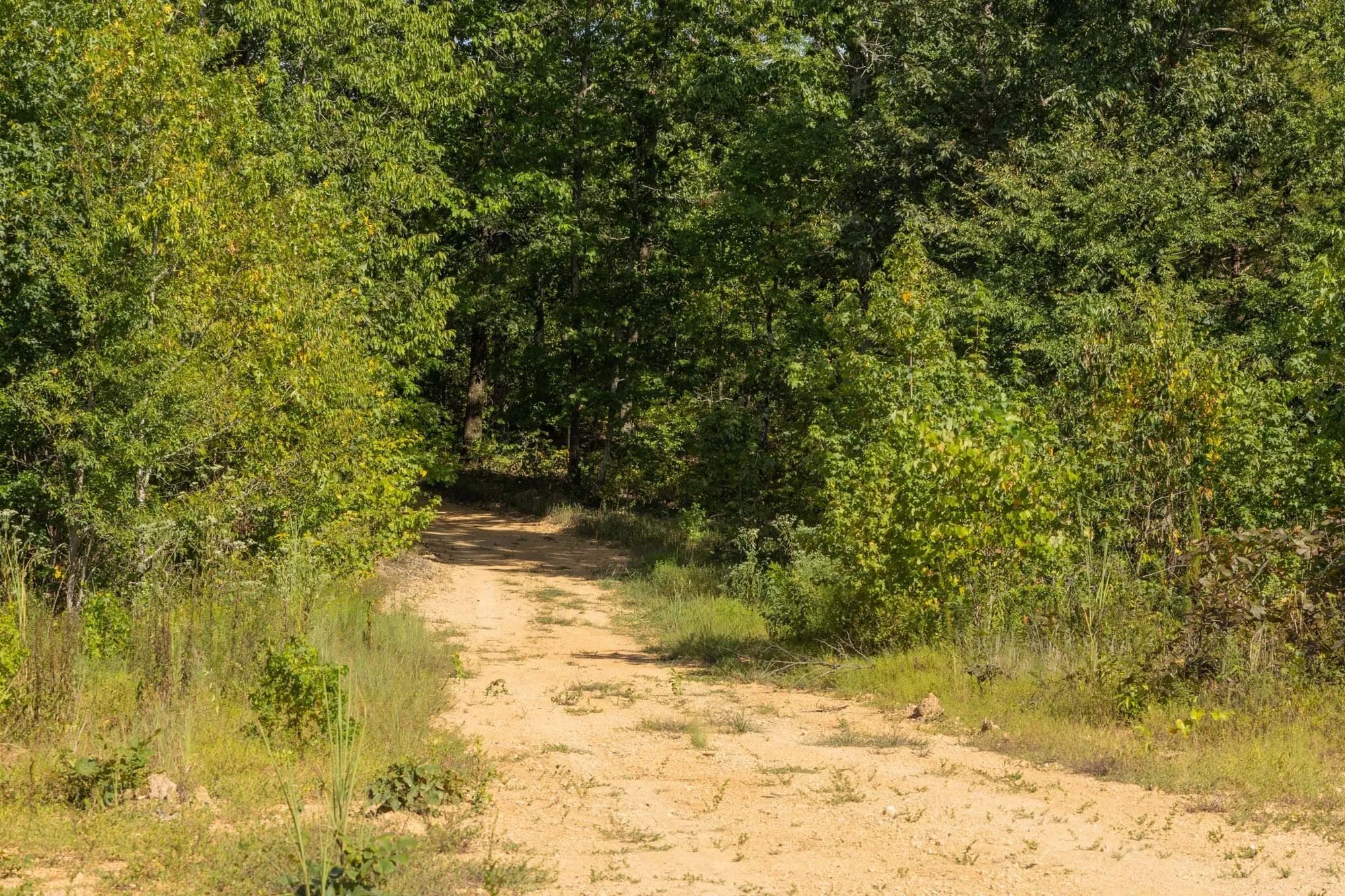 Big White Oak Tract 67 in Perry County, TN