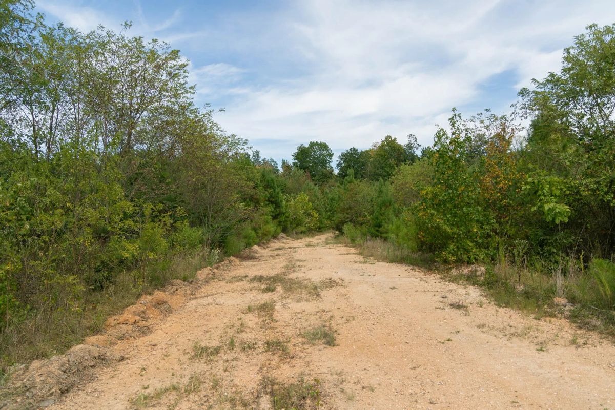 Decorative background for Big White Oak Tract 67 image 8