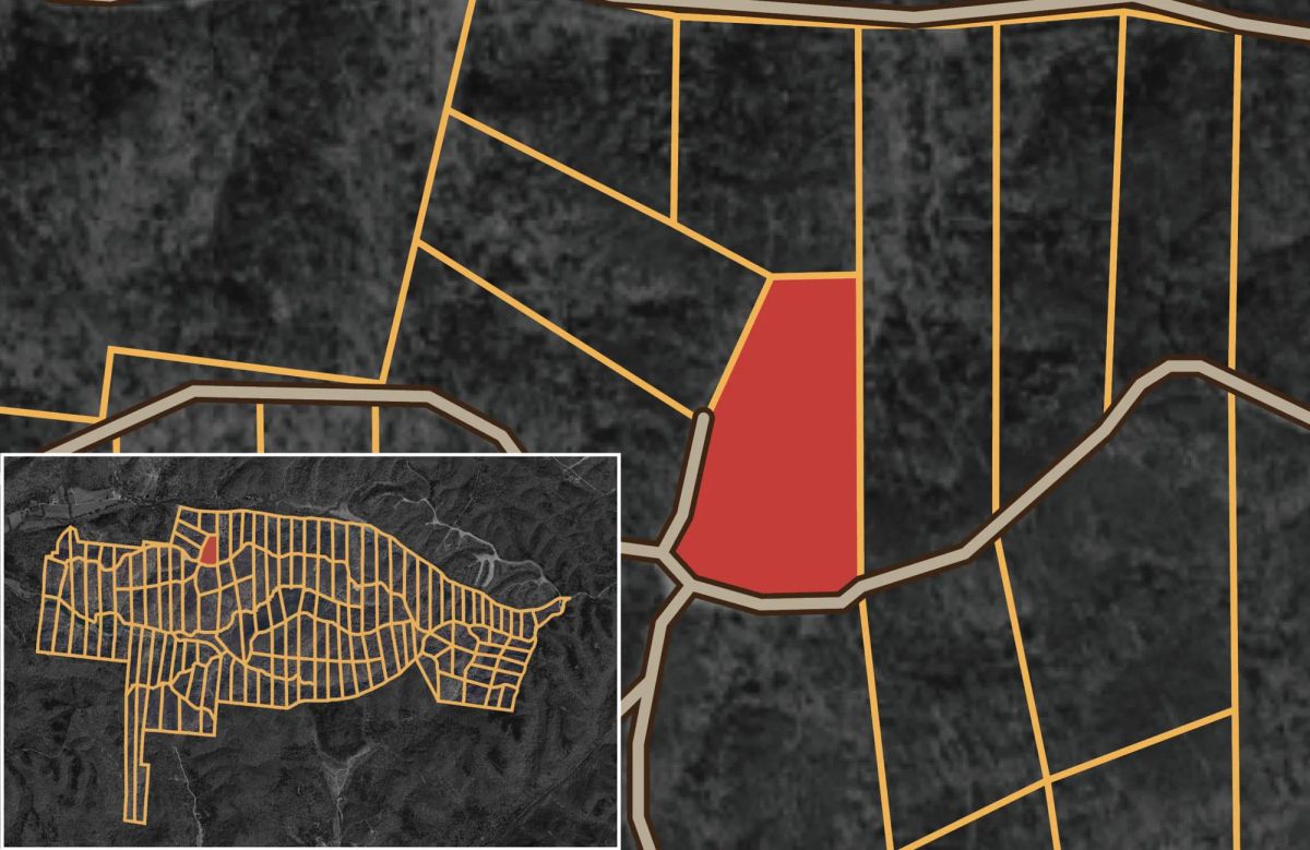 Decorative background for Big White Oak Tract 67 image 12