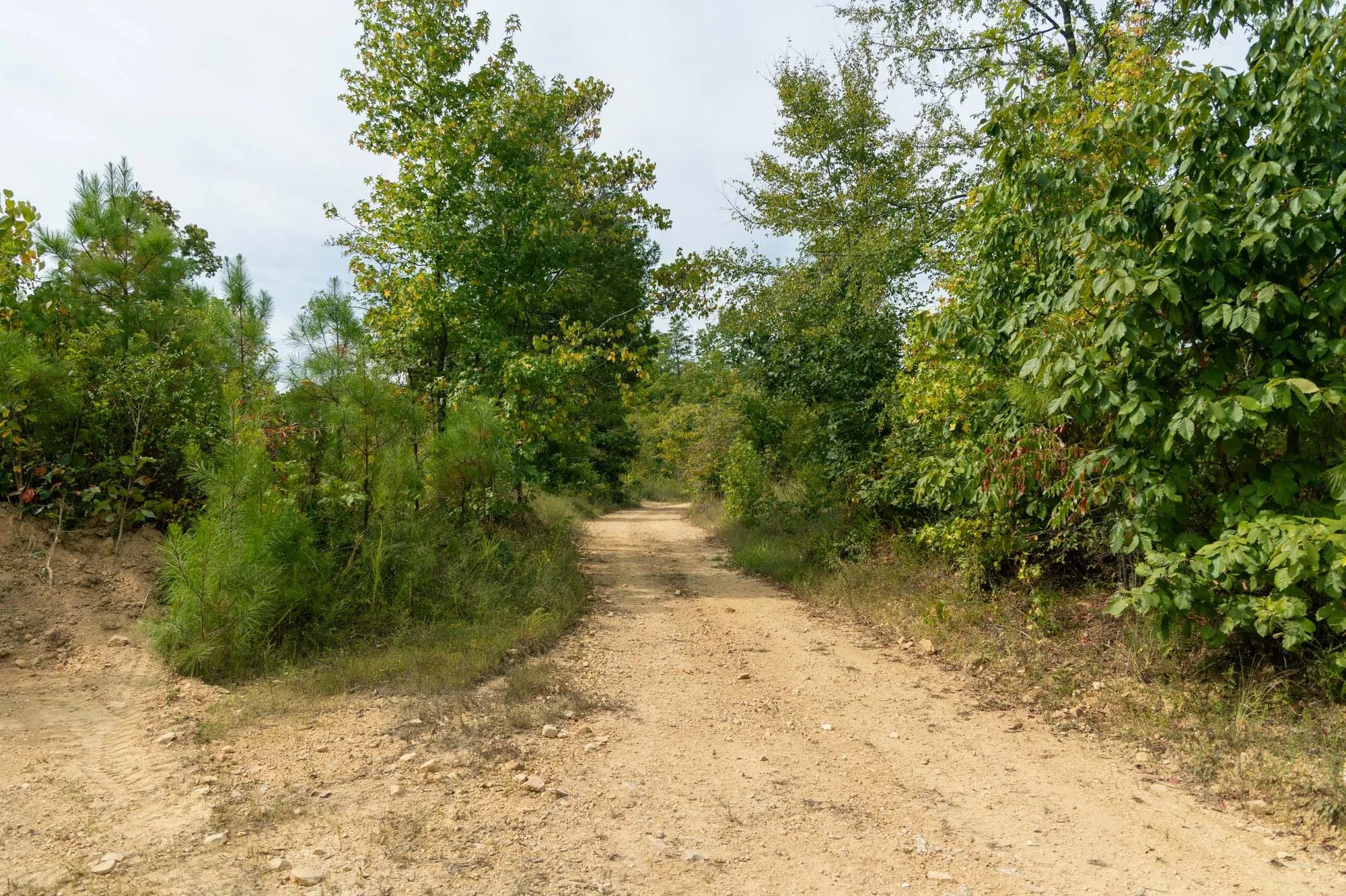 Big White Oak Tract 47 in Perry County, TN