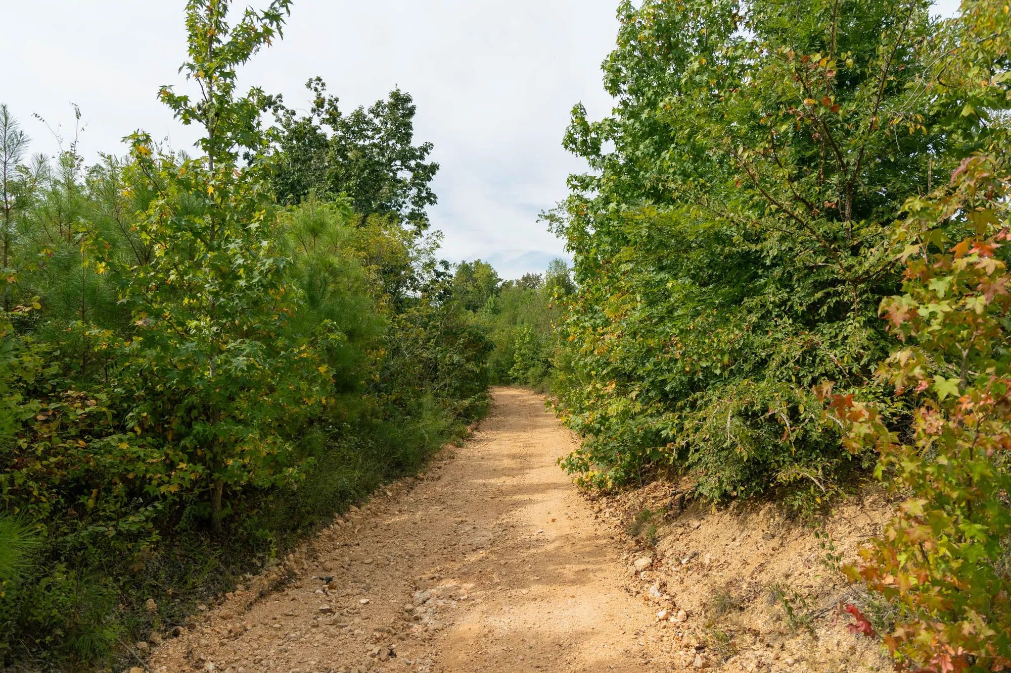 Big White Oak Tract 47 in Perry County, TN