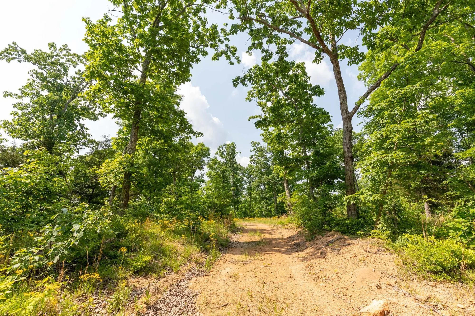 Cedar Creek Tract 60 in Perry County, TN