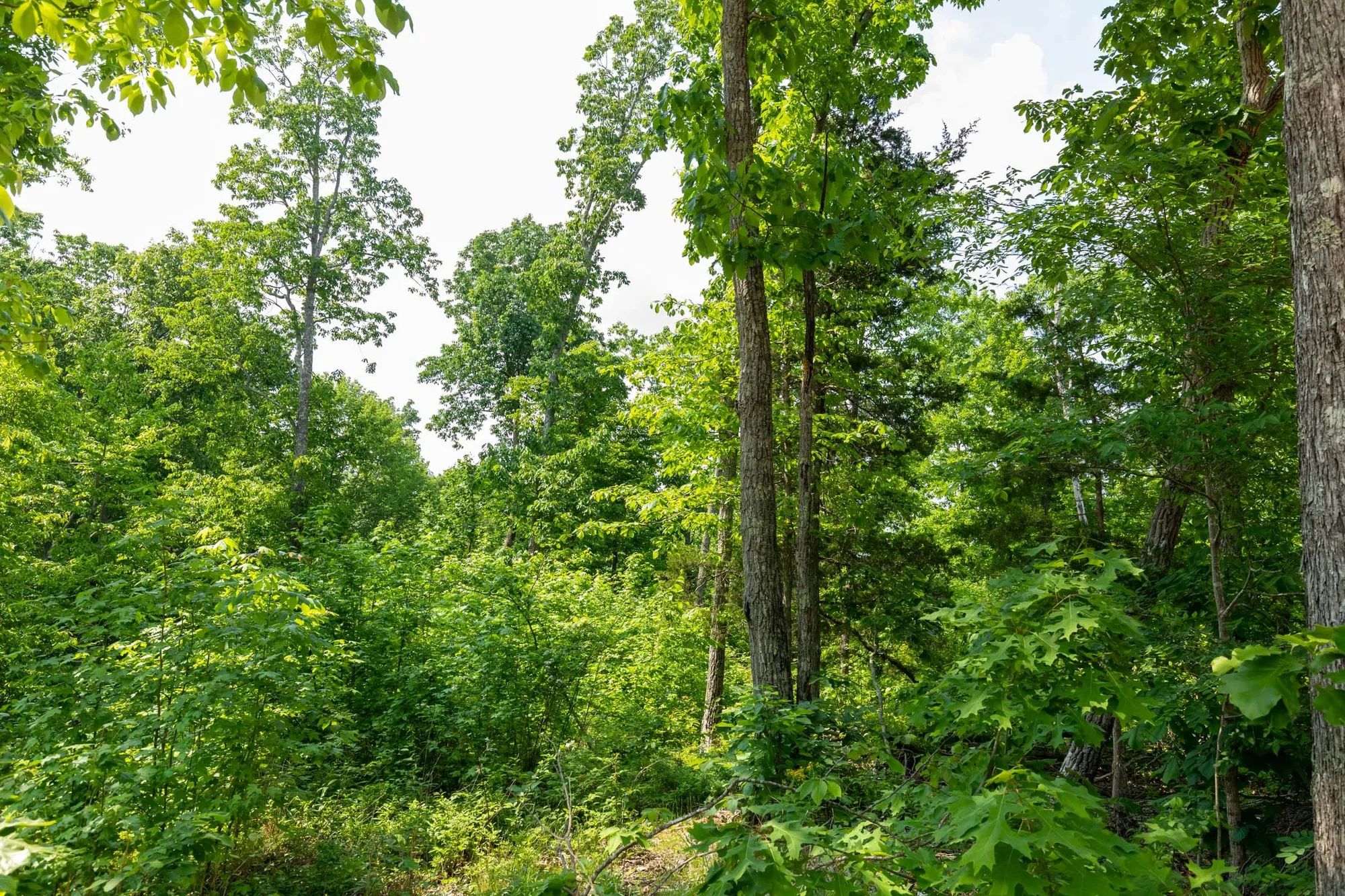 Cedar Creek Tract 60 in Perry County, TN