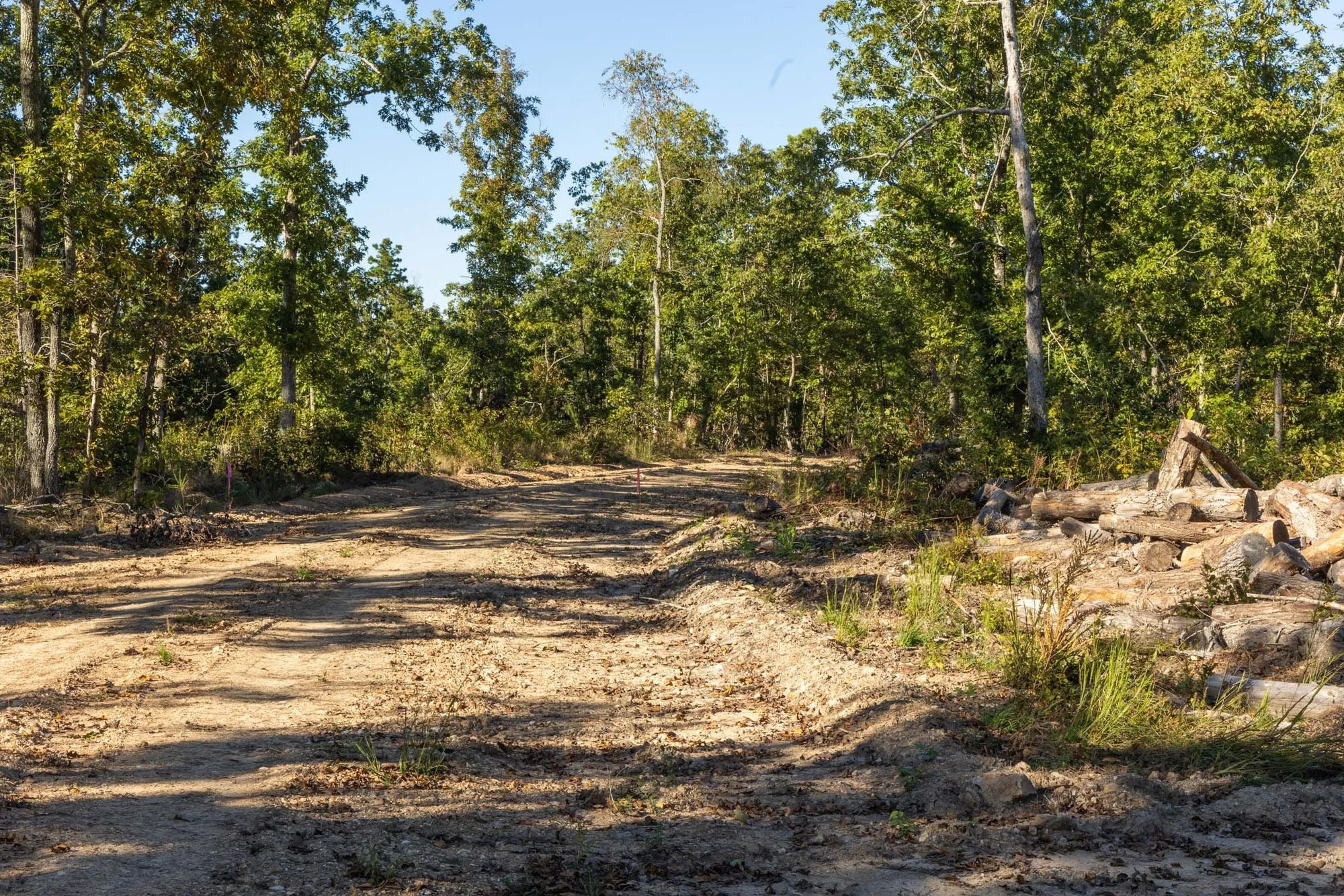 Fox Hollow Tract 11 in Reynolds County, MO