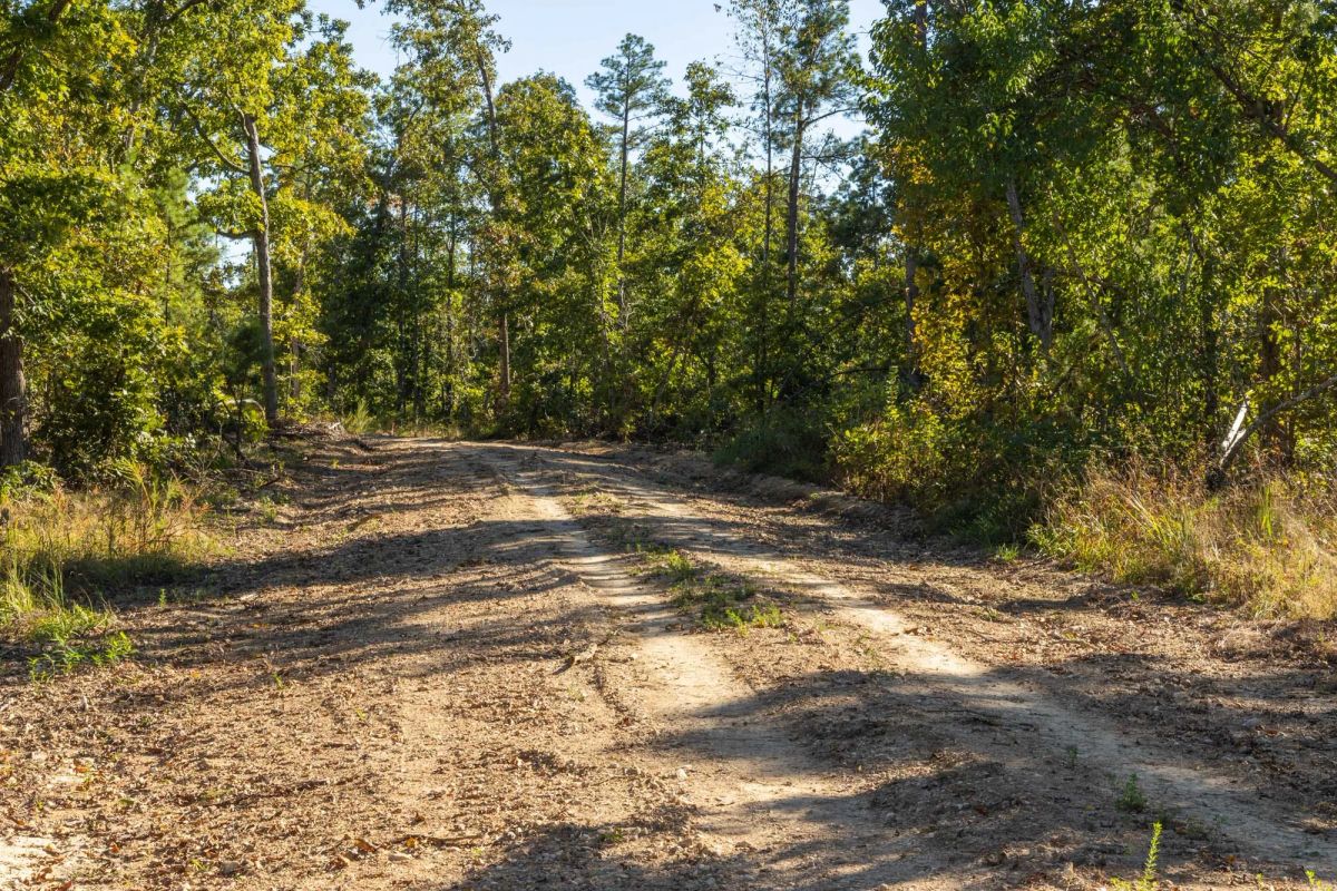 Decorative background for Fox Hollow Tract 11 image 5