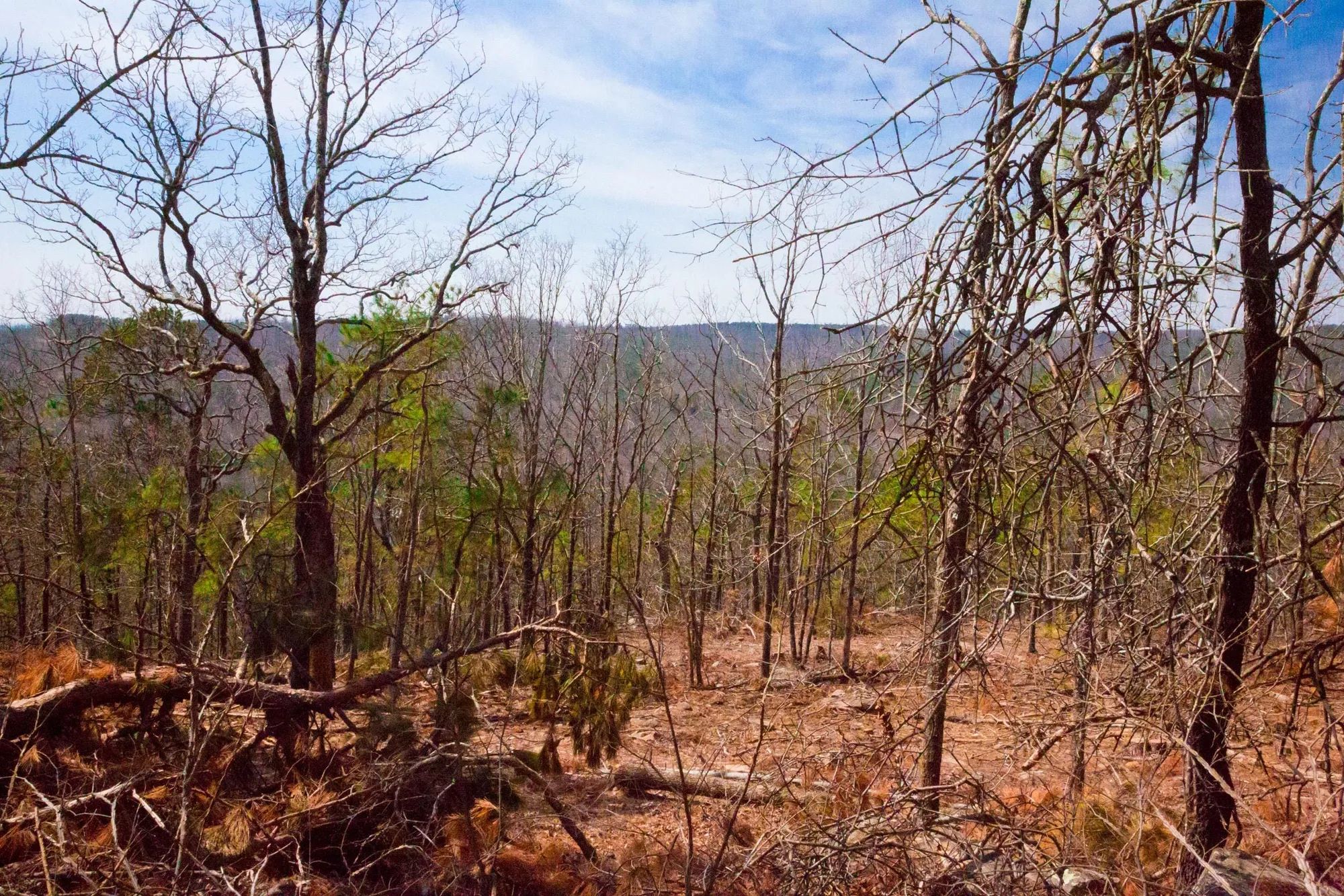 Stone Creek Phase II Tract 99 in Latimer County, OK