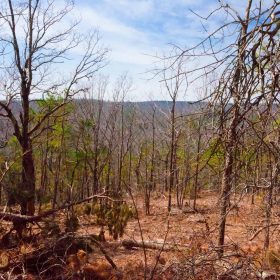 Stone Creek Phase II Tract 99 in Latimer County, OK