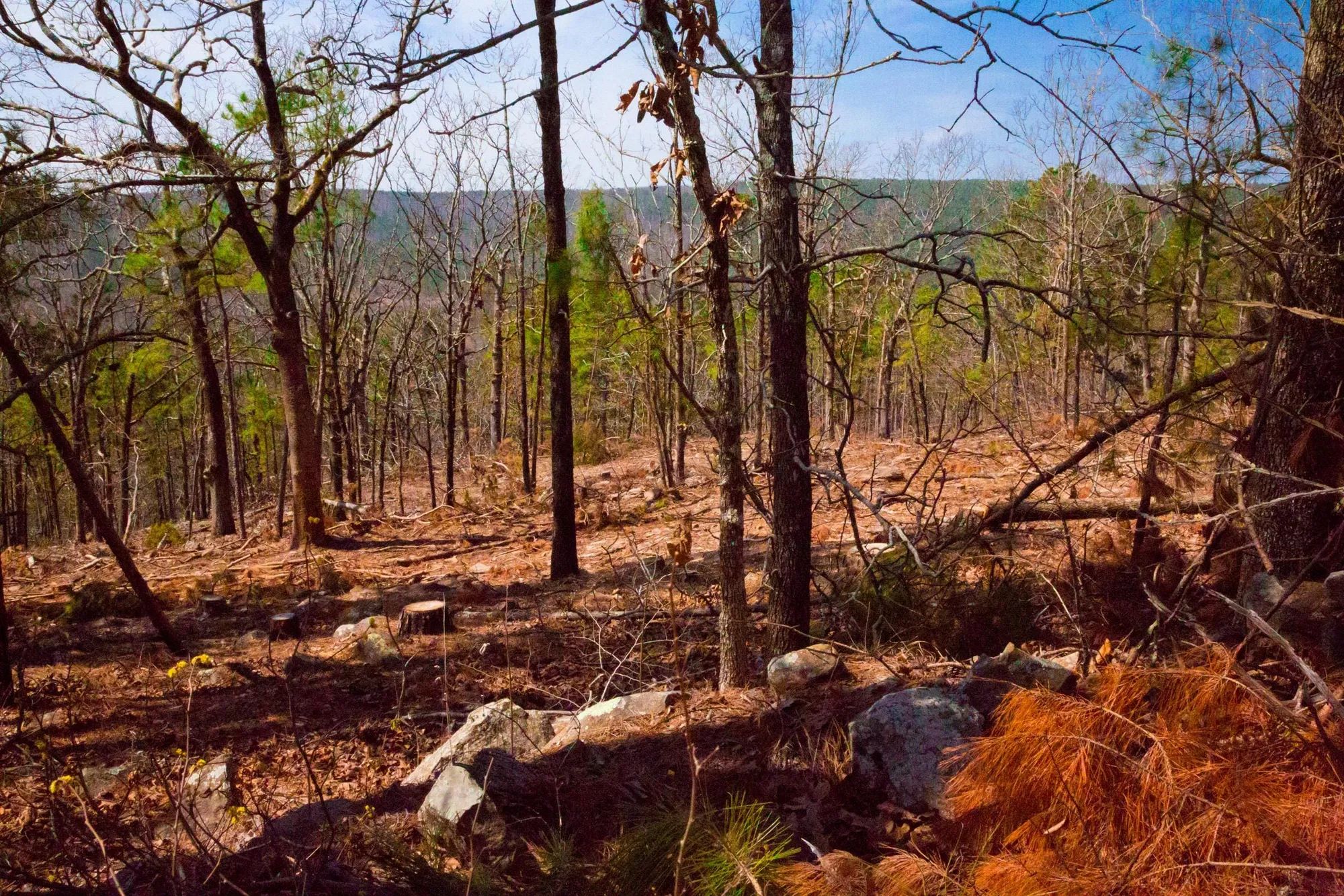 Stone Creek Phase II Tract 99 in Latimer County, OK
