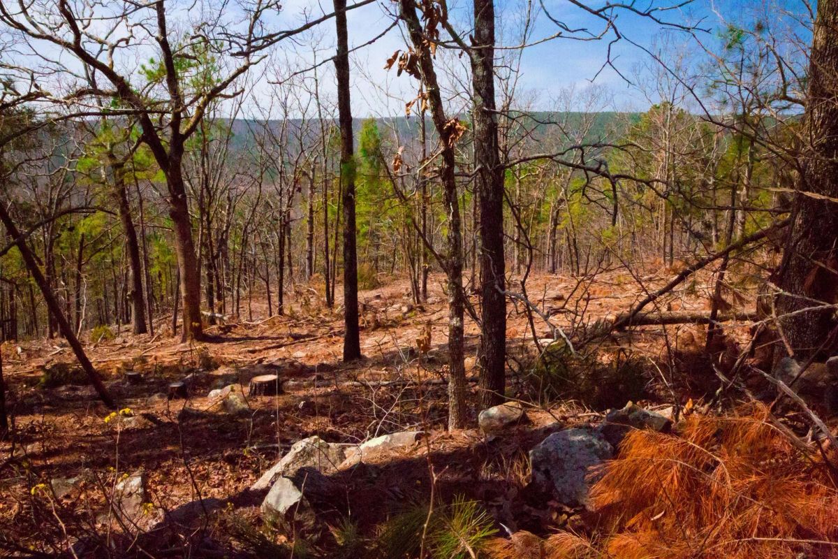 Stone Creek Phase II Tract 99 - Image 4