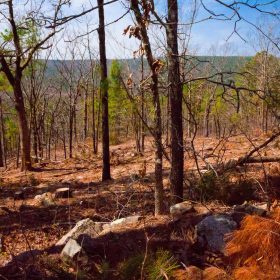 Stone Creek Phase II Tract 99 in Latimer County, OK