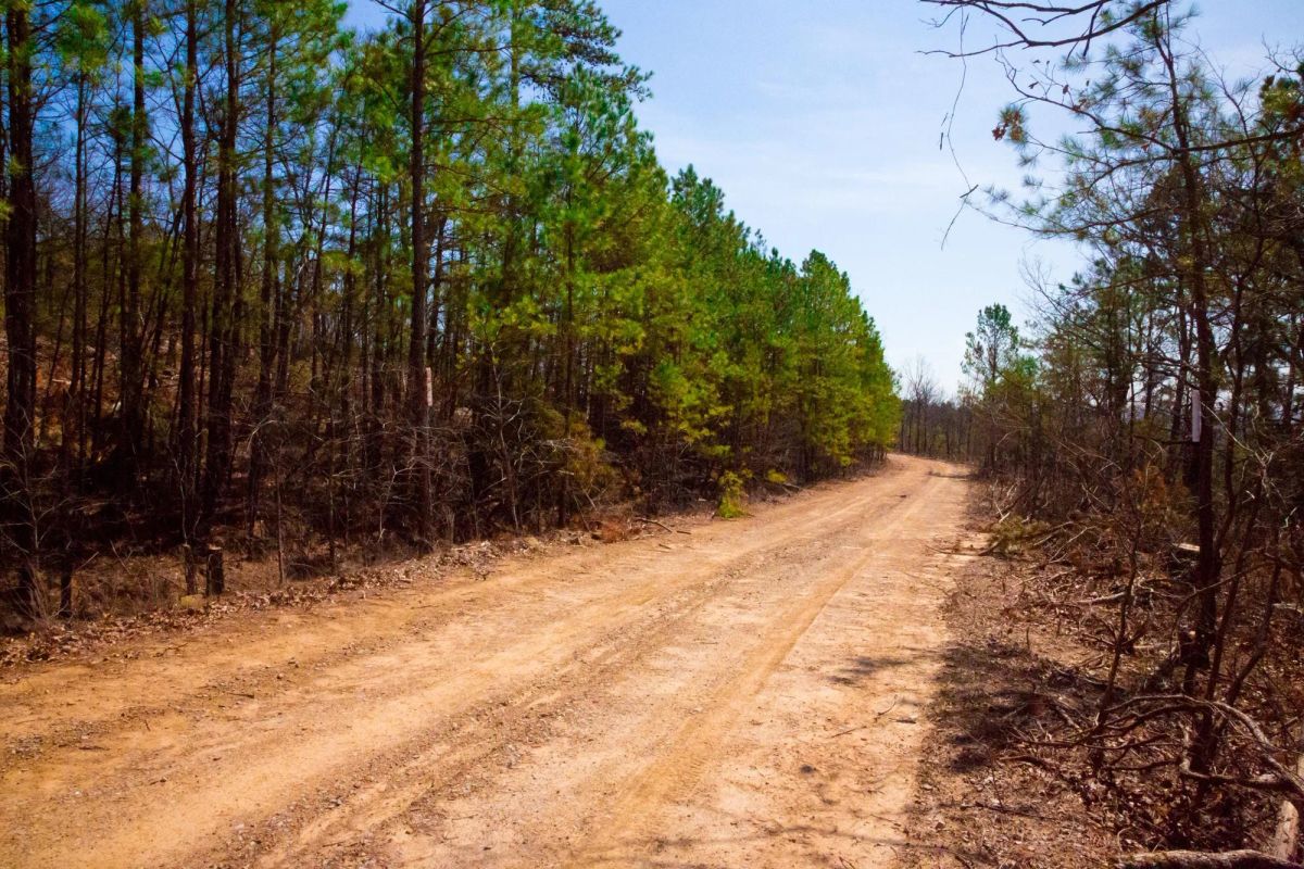 Decorative background for Stone Creek Phase II Tract 99 image 5