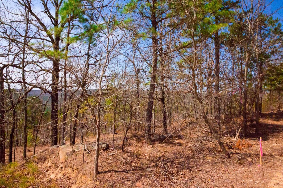 Decorative background for Stone Creek Phase II Tract 99 image 7