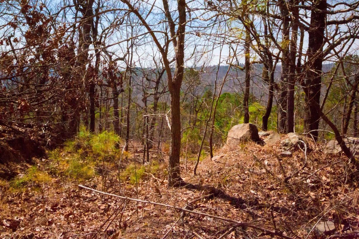 Decorative background for Stone Creek Phase II Tract 99 image 8