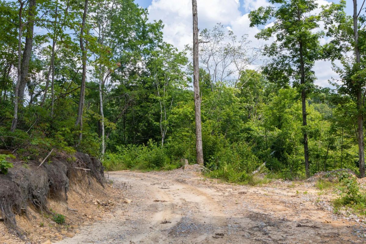 Creek Hollow Phase II Tract 68 - Image 2