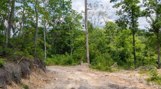Creek Hollow Phase II Tract 68 in Rockcastle County, KY