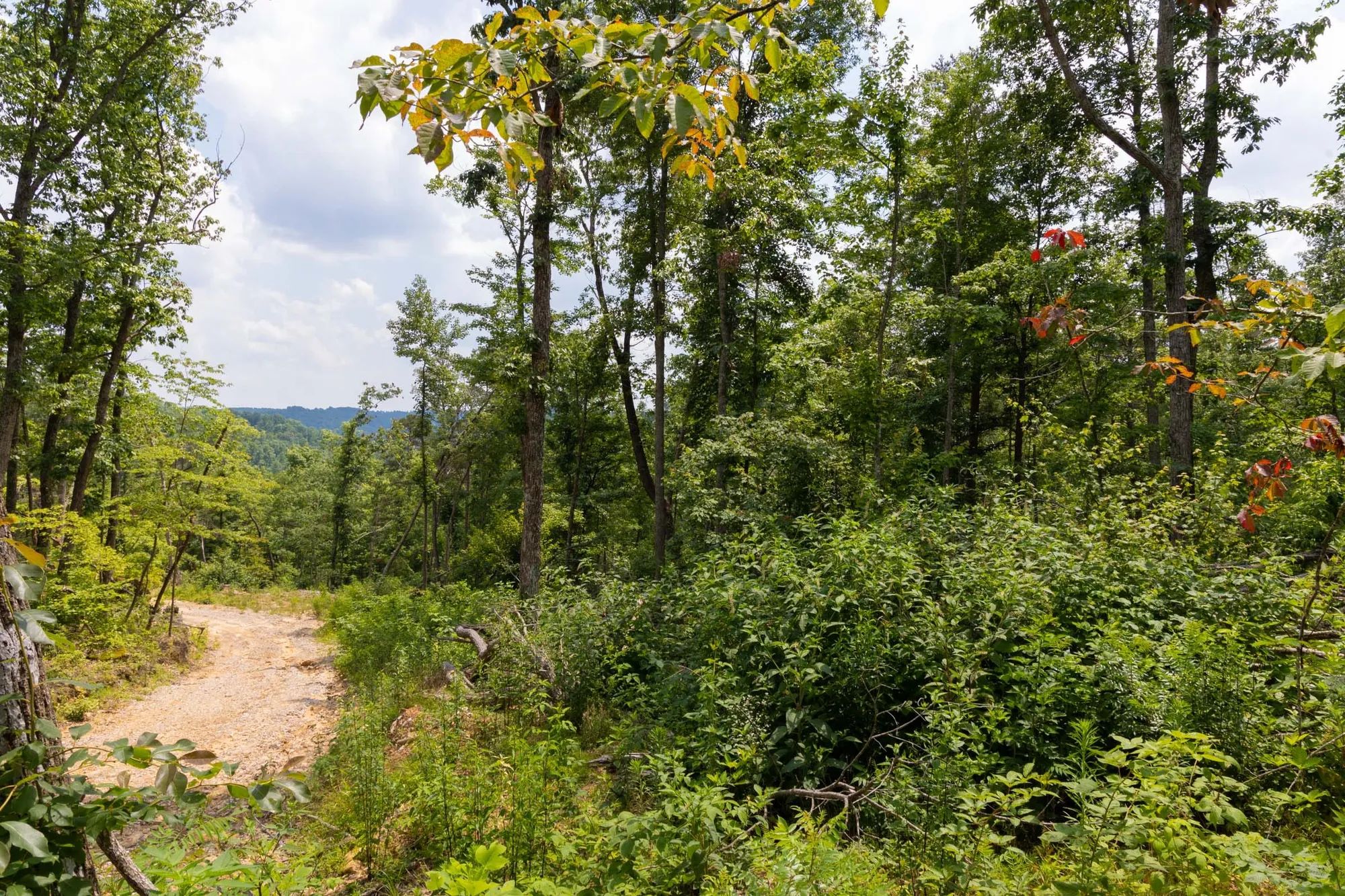 Creek Hollow Phase II Tract 68 in Rockcastle County, KY