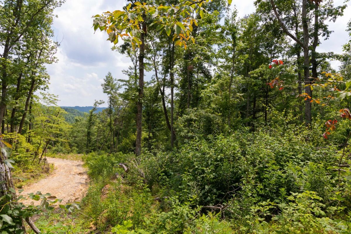 Creek Hollow Phase II Tract 68 - Image 3