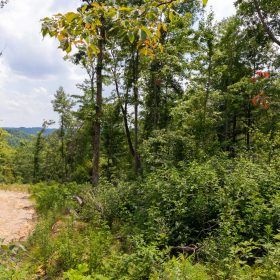 Creek Hollow Phase II Tract 68 in Rockcastle County, KY