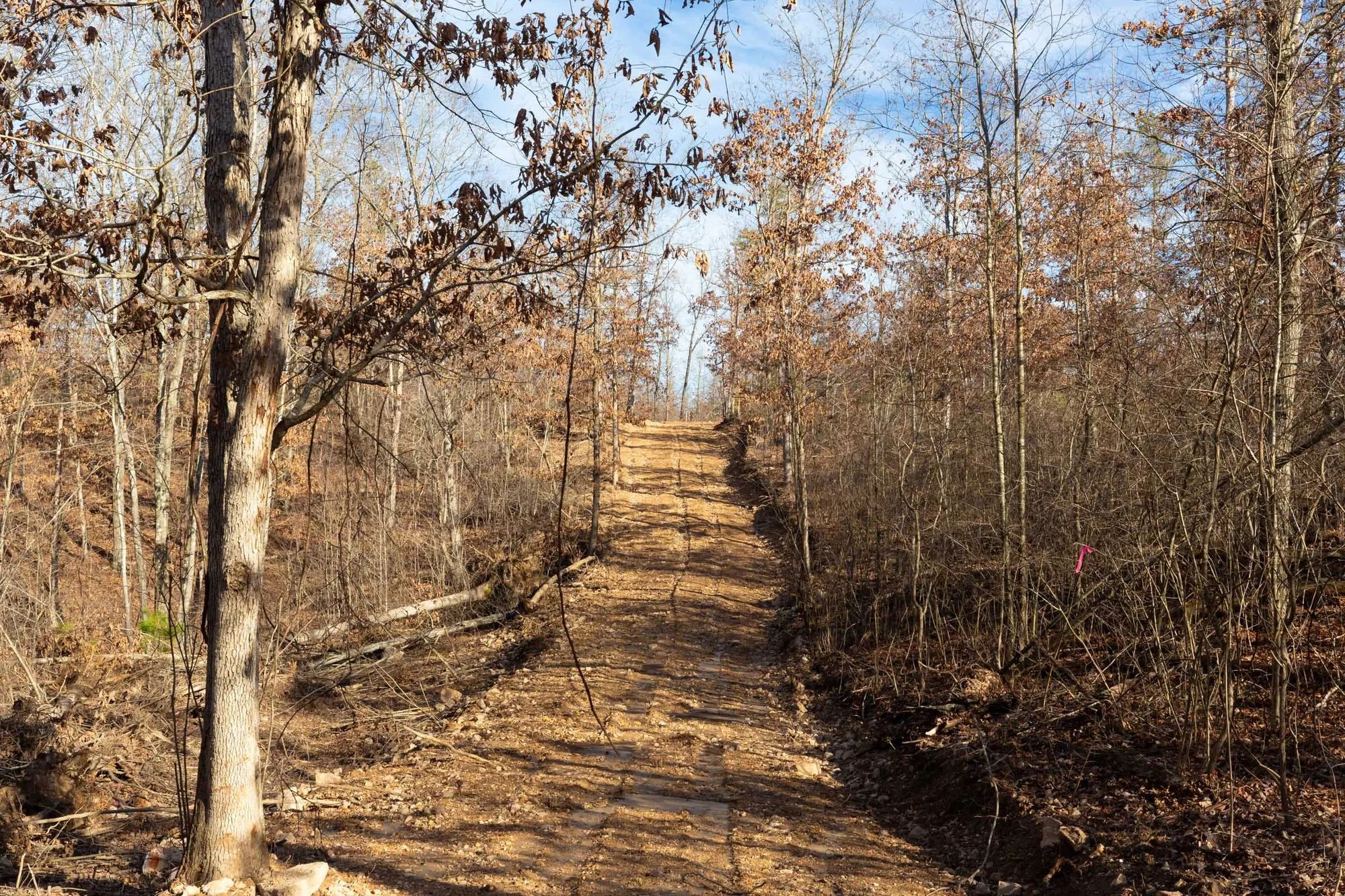 Windy Ridge Tract 8 in Texas County, MO