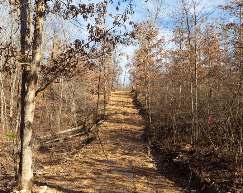 Windy Ridge Tract 8 in Texas County, MO