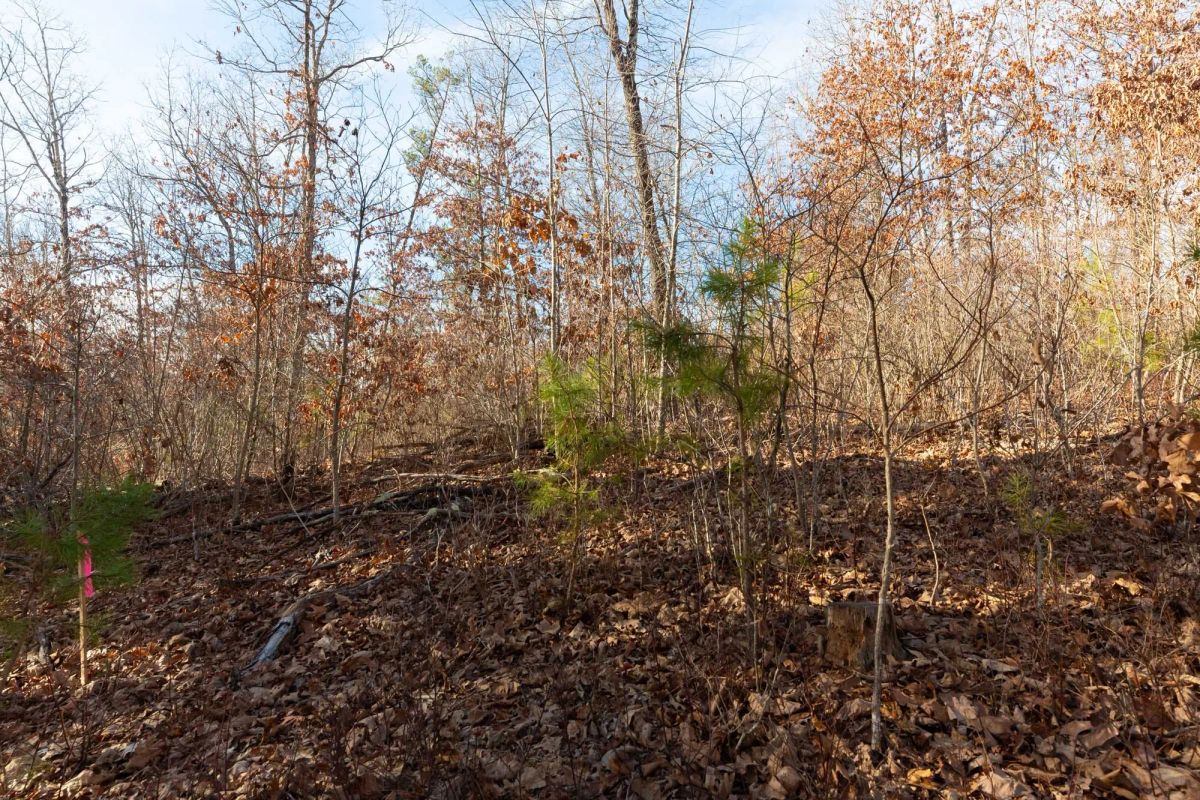 Windy Ridge Tract 8 - Image 2