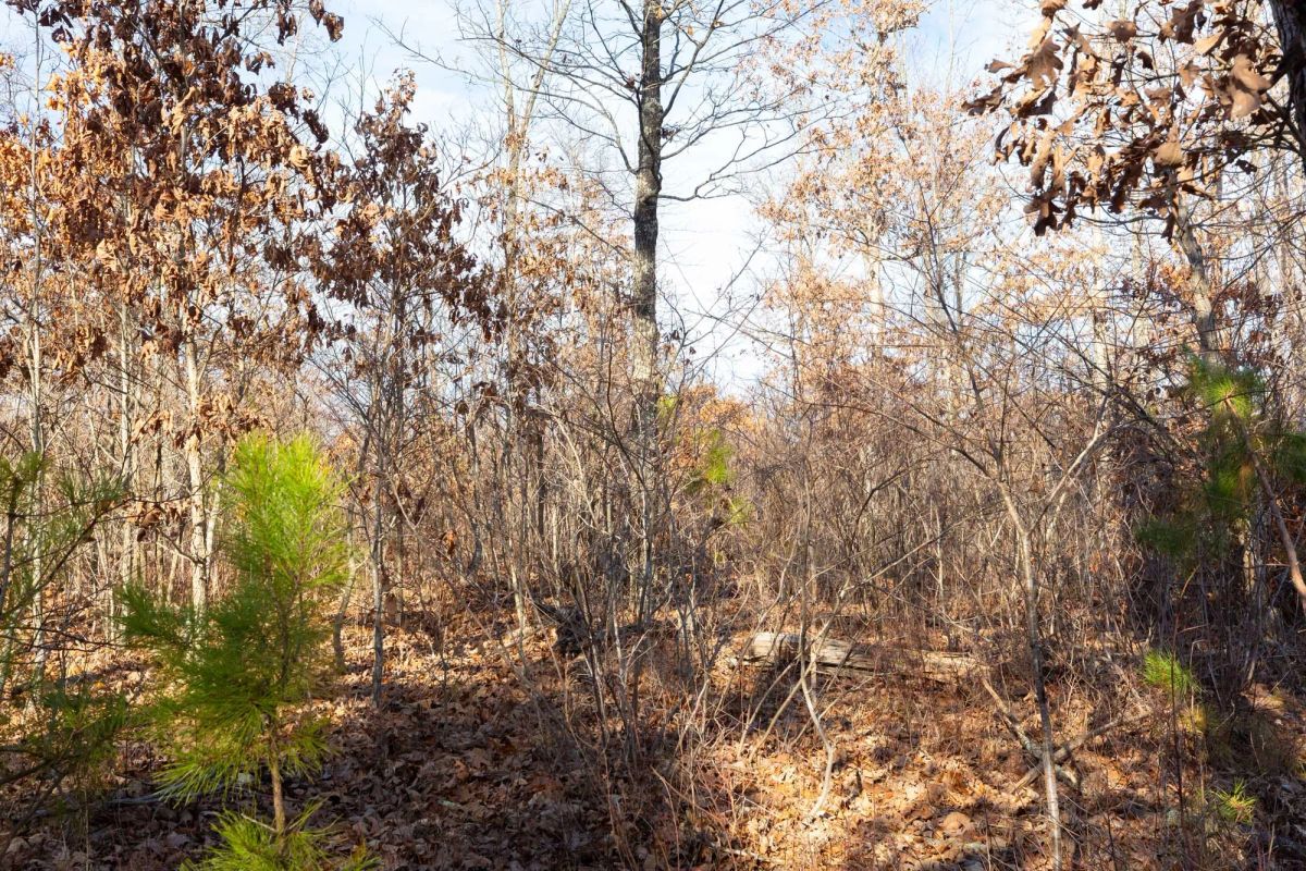 Windy Ridge Tract 8 - Image 4