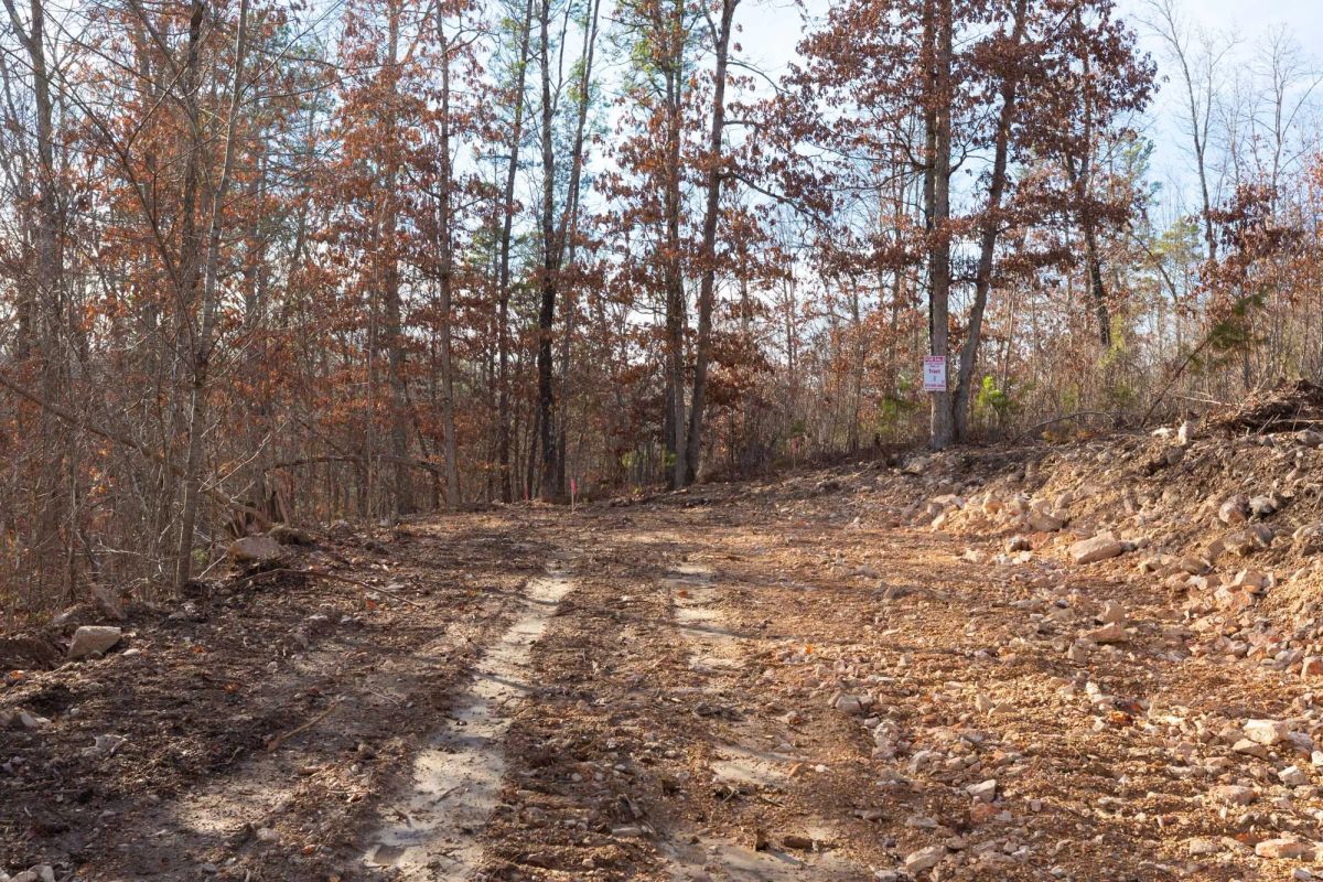 Decorative background for Windy Ridge Tract 8 image 5